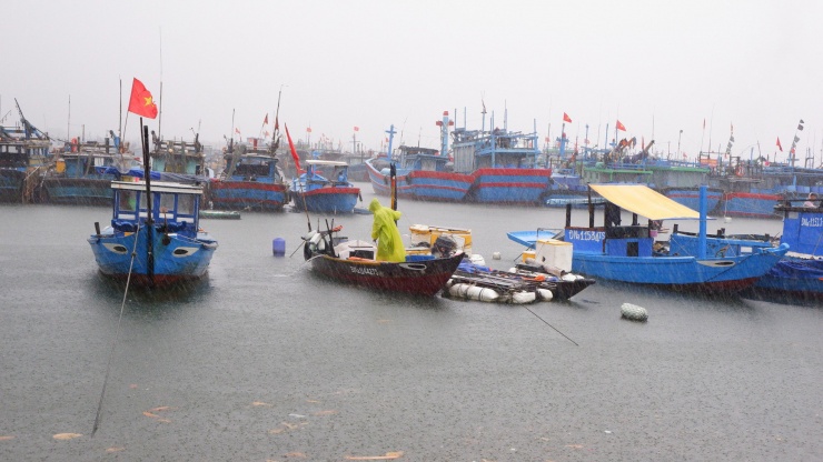 Theo báo cáo của BĐBP TP. Đà Nẵng, tổng số phương tiện tàu thuyền có đăng ký, đăng kiểm của địa phương là 1.159 phương tiện/8.316 lao động. Đến sáng nay, số tàu thuyền đang neo đậu tại các bến là 1.097 phương tiện với 7.699 lao động. Ảnh: Nguyễn Thành.